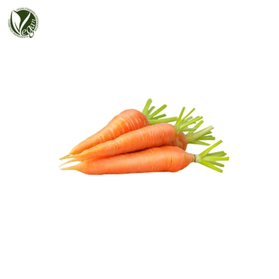 당근씨오일(Daucus Carota Sativa (Carrot) Seed Oil)