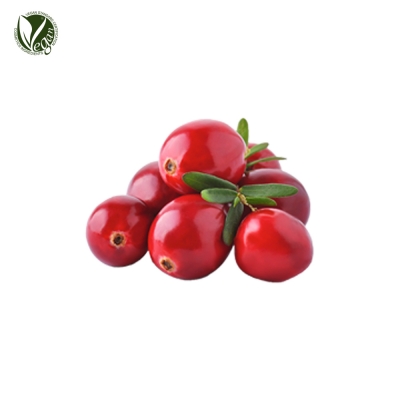 크랜베리파우더(Vaccinium Macrocarpon (Cranberry) Seed Powder)